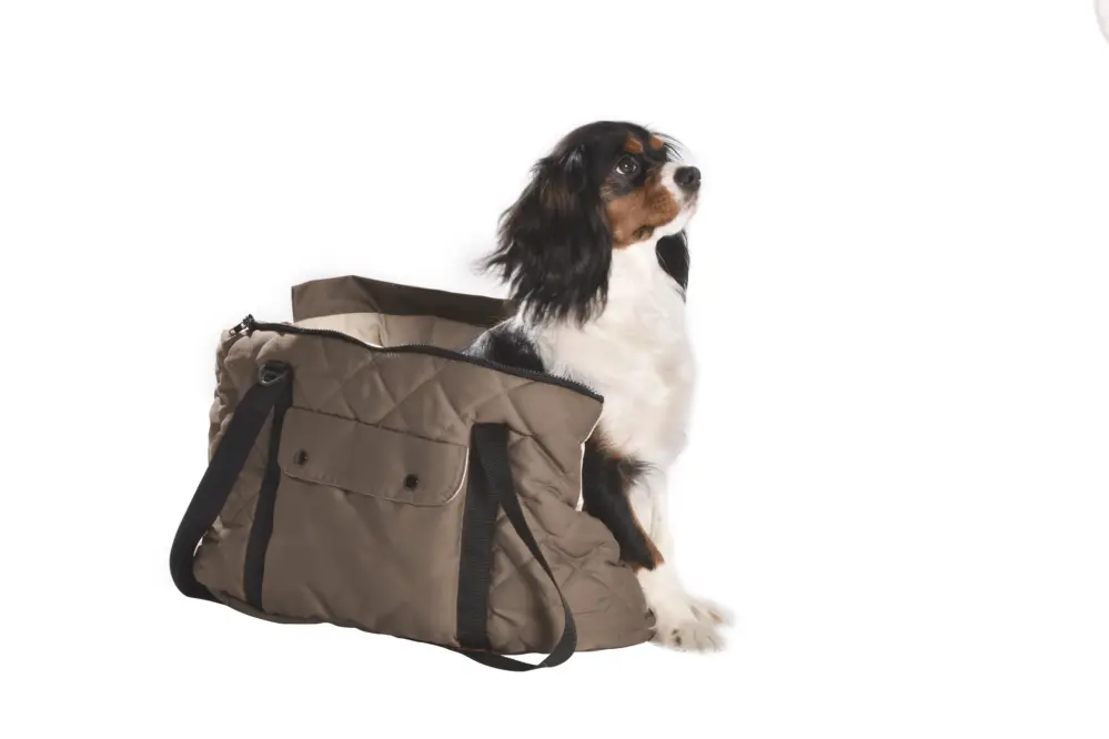 Super Prix Bobby – Sac Promenade Bicolore Choco pour Chiens