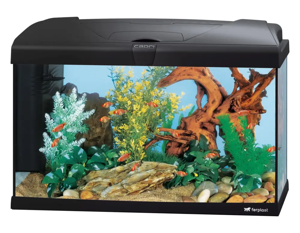 Dernier Modèle Hydor – Aquarium Capri 60 Led – Noir