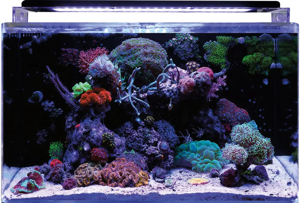 Haute Qualité Superfish – Aquarium Blue Marine Reef Tout Equip&eacute; – 160L