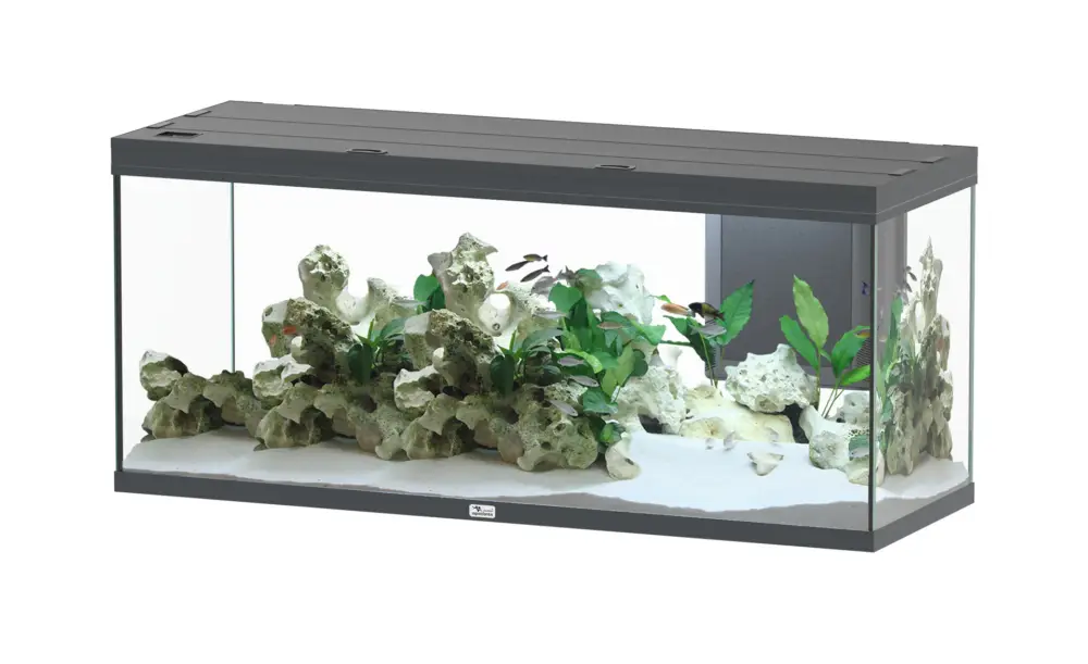 Expédié Aujourd&rsquo;hui Aquatlantis – Aquarium Splendid Ultra Led RGBW Equip&eacute; 150x50x68cm