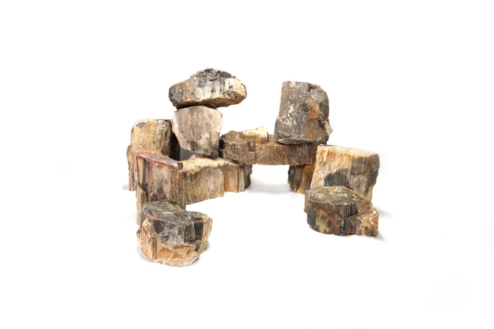 Reptiles Planet – D&eacute;coration Pierre Wood Fossil pour Aquarium et Terrarium Affaire À Saisir
