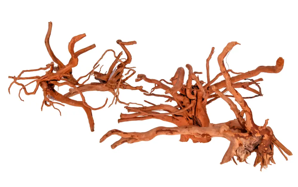 Reptiles Planet – D&eacute;coration Racine Araign&eacute;e pour Aquarium et Terrarium Super Prix