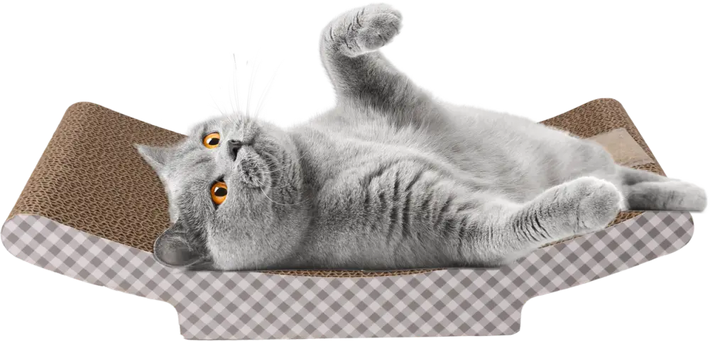 Quantité Limitée Leeby – Griffoir Funny Remy A pour Chats – 46x22x9,5cm