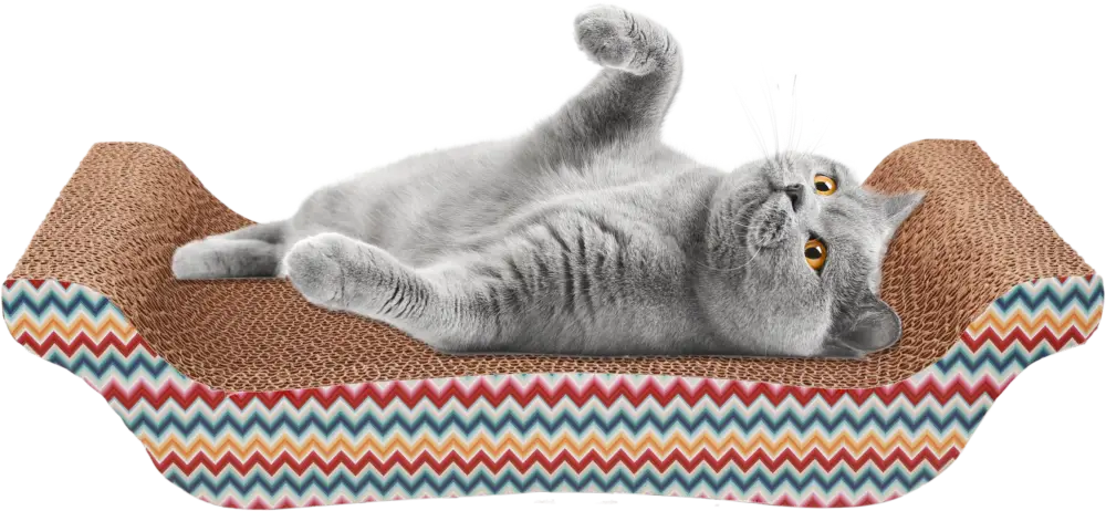 Leeby – Griffoir Funny Remy B pour Chats – 43x21x10cm Populaire