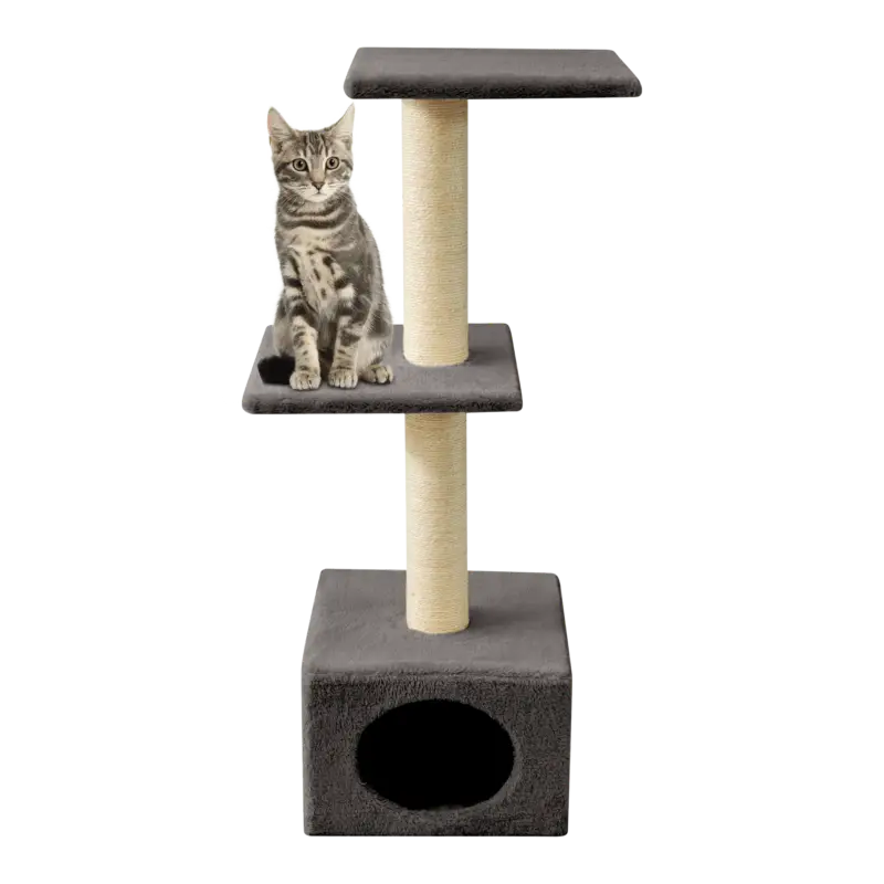 Bon Plan Leeby – Arbre &agrave; Chat Cube Colette pour Chats