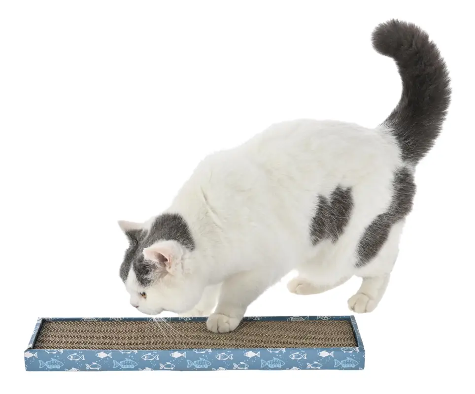 Remise Leeby – Griffoir Everyday Plat en Carton pour Chats – 46x12cm