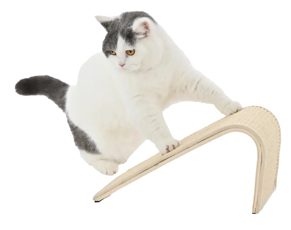 Prix Promo Leeby – Griffoir Oblique Beige pour Chats – 39x18x18cm