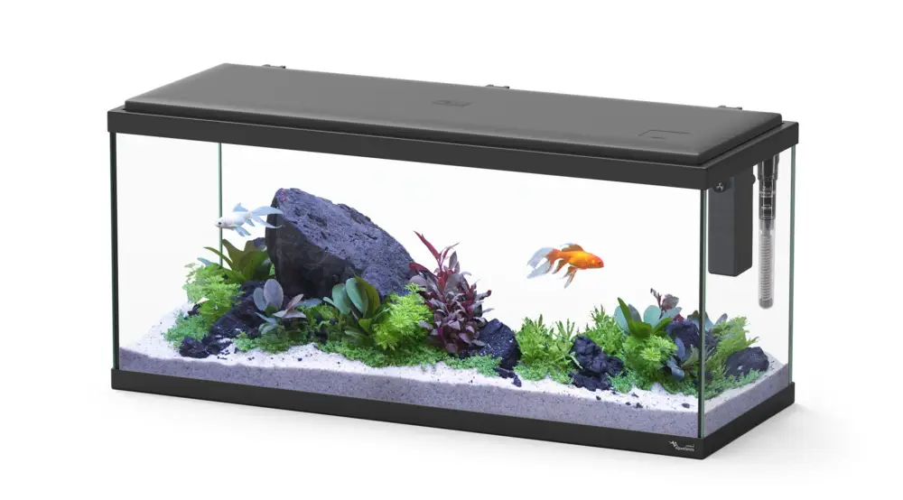 Aquatlantis – Aquarium Explorer Amsterdam 80 Equip&eacute; Populaire