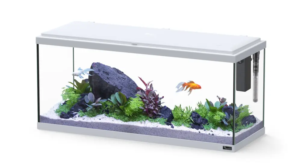 Aquatlantis – Aquarium Explorer Amsterdam 80 Equip&eacute; Dernière Chance