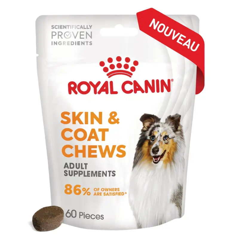 Offre Limitée Royal Canin – Aliment Compl&eacute;mentaire Adult Skin & Coat Chews pour Chiens – 240g