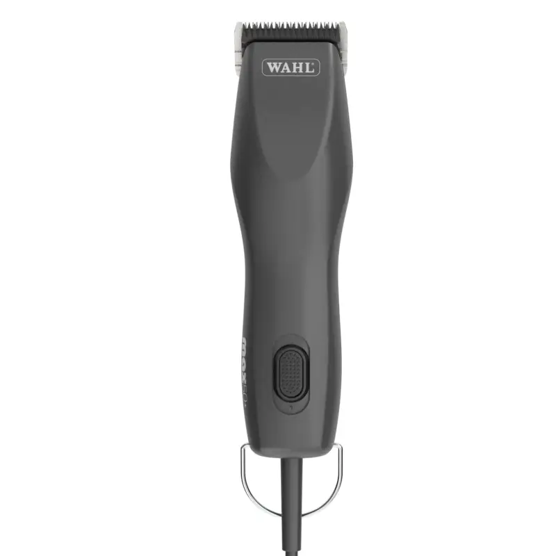 Achetez Aujourd&rsquo;hui Wahl – Tondeuse REX pour Chiens de Taille Moyenne – 15W