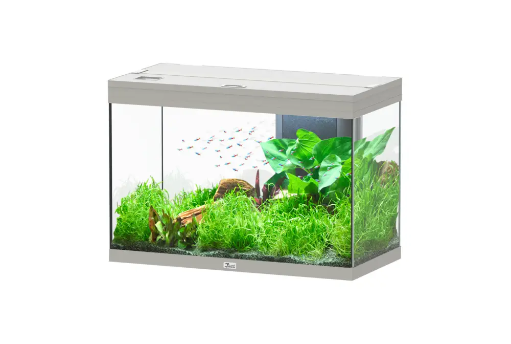Aquatlantis – Aquarium Splendid Ultra Led Inox Vente Directe