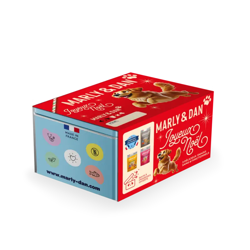 Meilleur Prix Marly & Dan – Coffret de No&euml;l Multi Pack Chien
