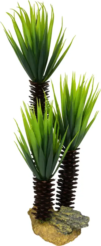 Labeo – D&eacute;coration Plante Yucca pour Aquarium Marque