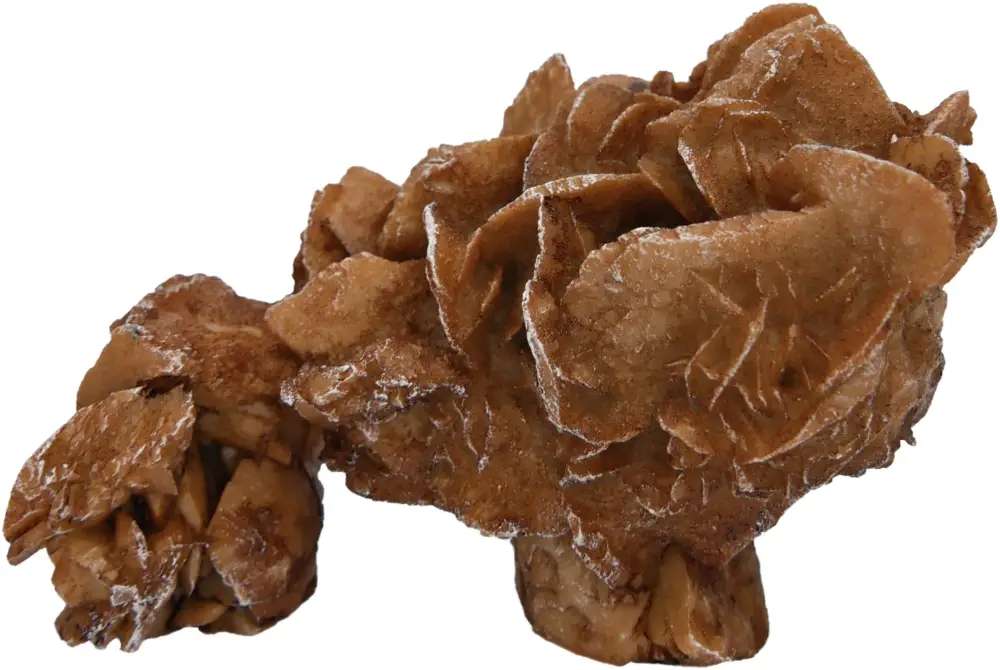 Labeo – D&eacute;coration Rose des Sables pour Aquarium Authentique