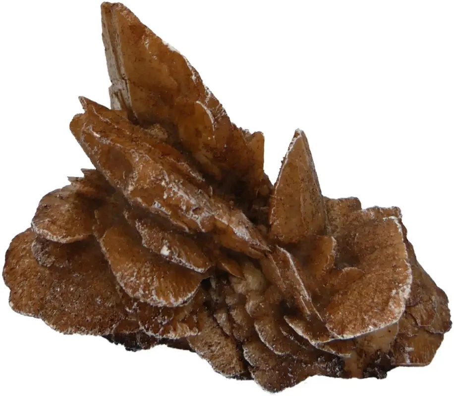 Labeo – D&eacute;coration Rose des Sables pour Aquarium Meilleur Prix