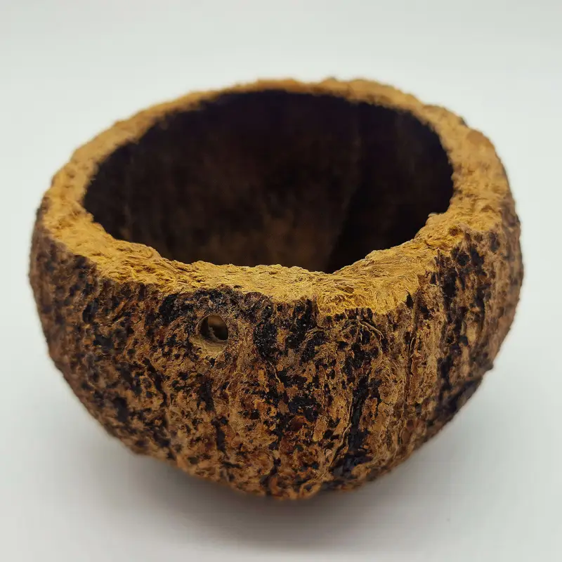 Retour Gratuit Eublepharis – Gamelle Naturelle Ourico Natural pour Reptiles – 8/10cm