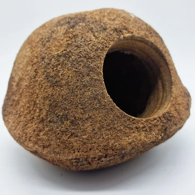 Eublepharis – Cachette Gaia pour Reptiles – 15cm Réduction