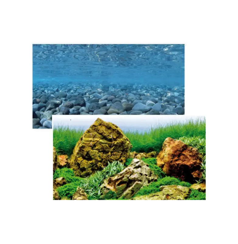 Amtra – Affiche Imprim&eacute;e Double Fond Vision pour Aquarium Pas Cher