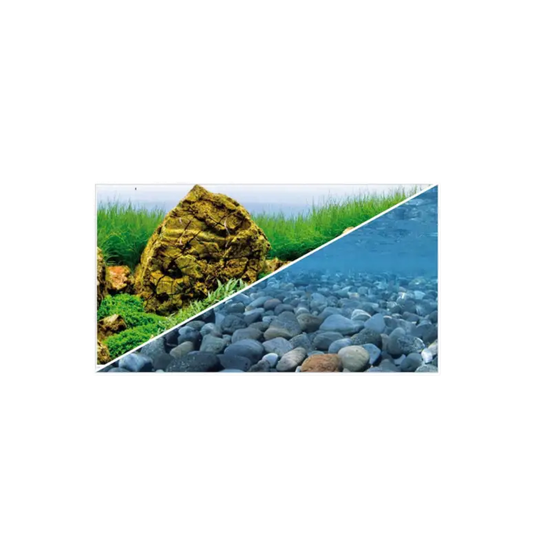 Affaire À Saisir Amtra – Affiche Fond Double Vision Blister