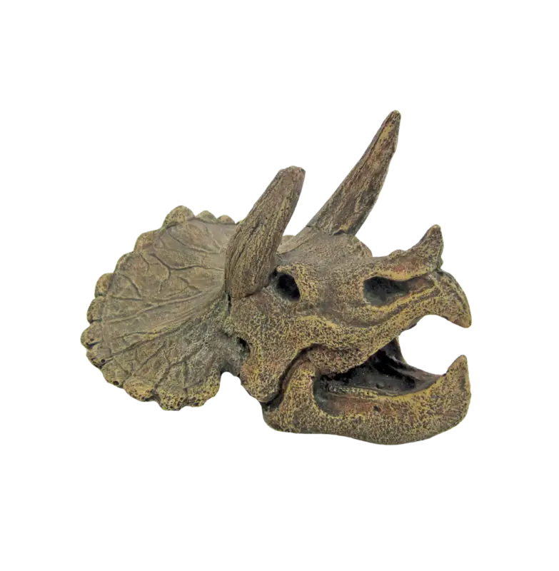 Bon Plan Amtra – D&eacute;coration Cr&acirc;ne Triceratops pour Aquarium