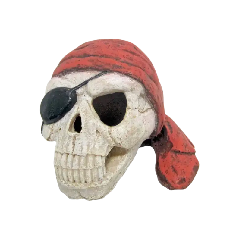 Offre Spéciale Amtra – D&eacute;coration Cr&acirc;ne Pirate avec Bandage
