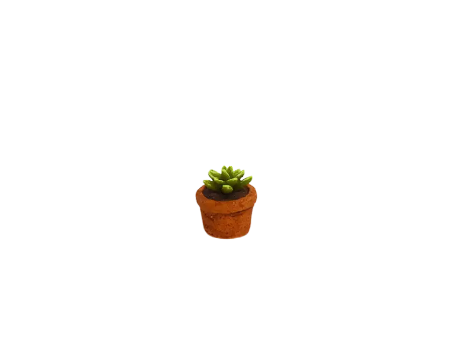 Amtra – D&eacute;coration Mexico Cactus en Pot pour Aquarium Solde