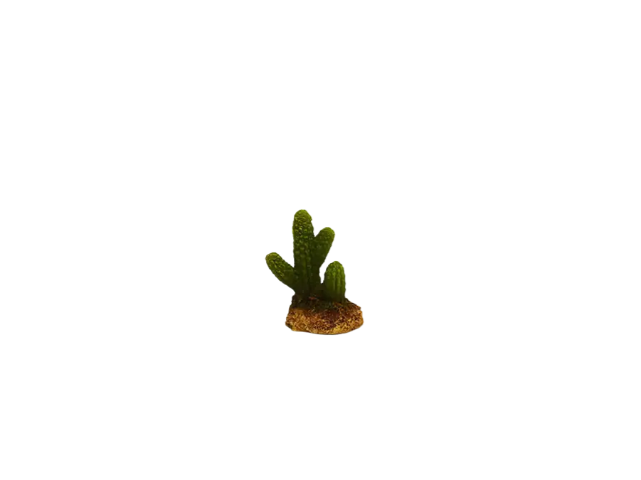 Amtra – D&eacute;coration Mexico Cactus 2 pour Aquarium Seulement Aujourd&rsquo;hui