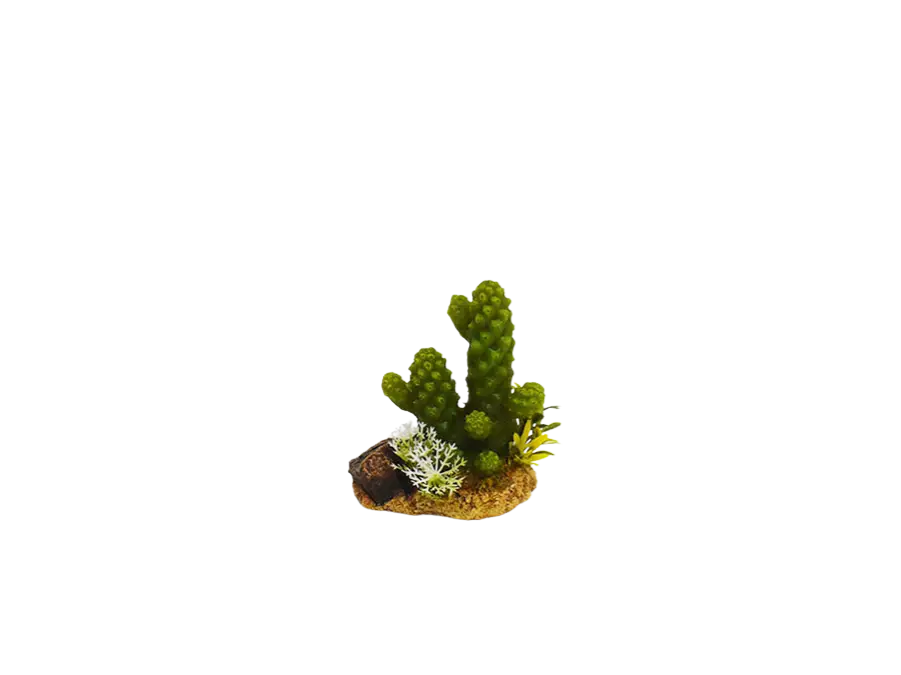 Prix Réduit Amtra – D&eacute;coration Mexico Cactus 4 pour Aquarium