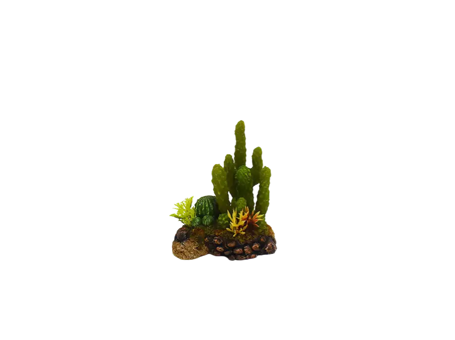 Promotion Amtra – D&eacute;coration Mexico Cactus 5 pour Aquarium