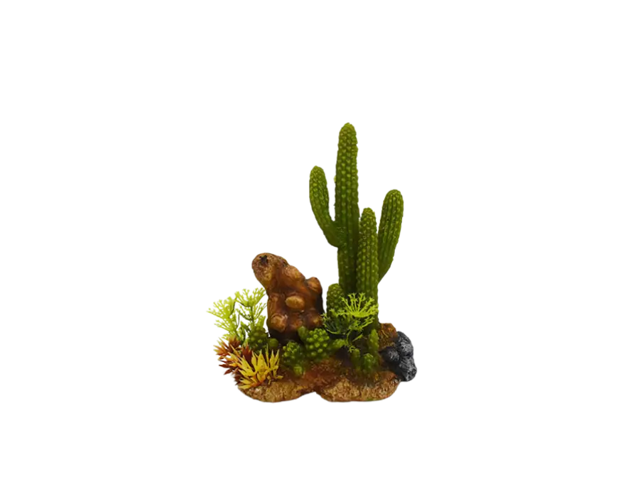 Dernier Modèle Amtra – D&eacute;coration Mexico Cactus 7 pour Aquarium