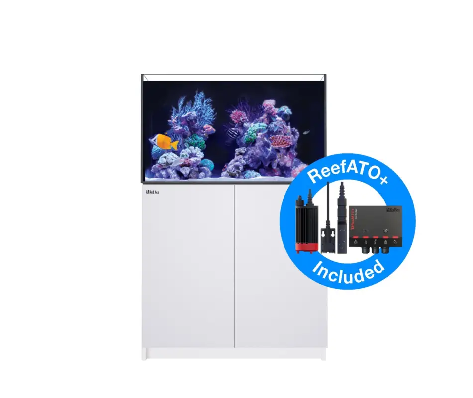 Satisfait Ou Remboursé Red Sea – Aquarium Reefer 250 G2+ DLX
