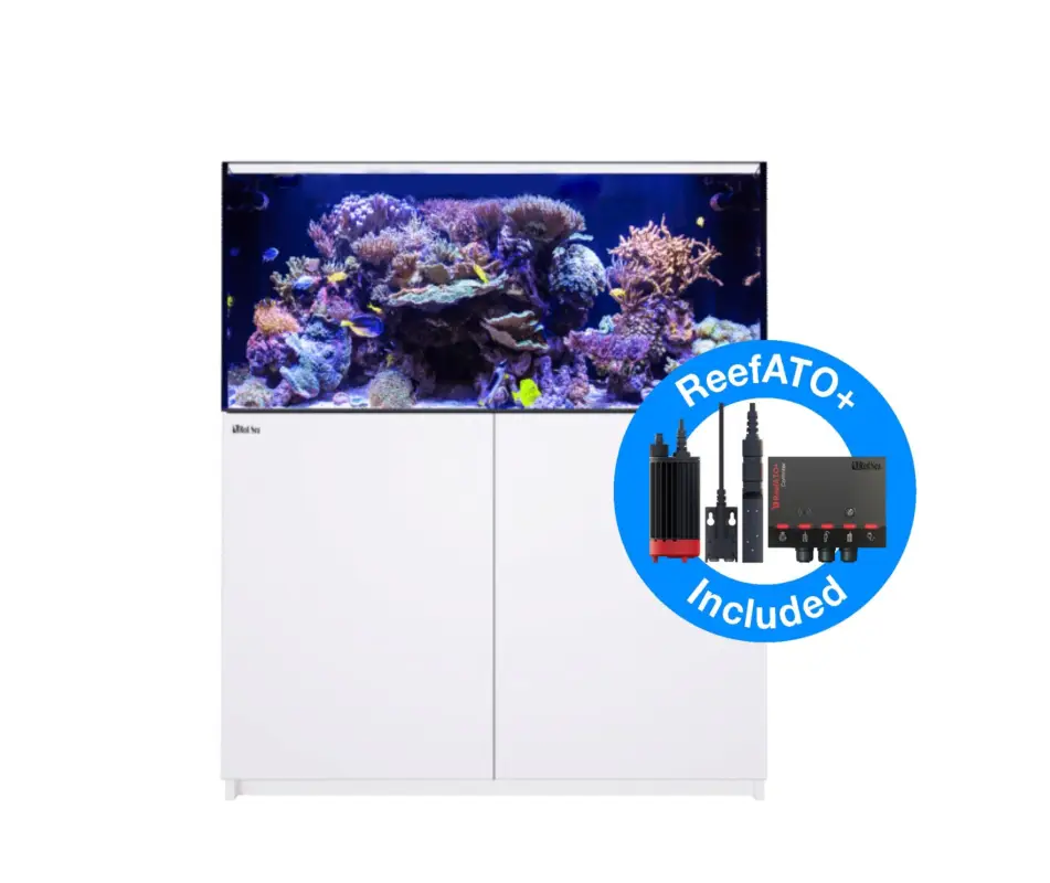 Commande En Gros Red Sea – Aquarium Reefer 425 G2+ DLX 2xRL115