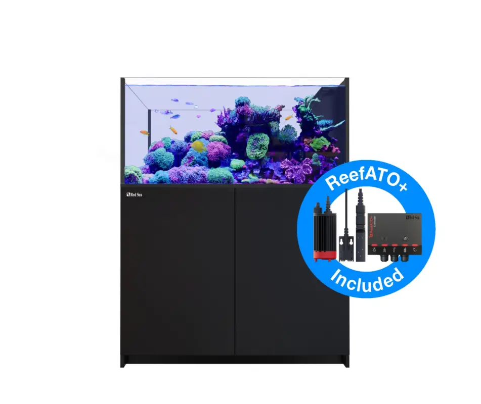 Remise Red Sea – Aquarium Reefer PENINSULA 500 G2+ DLX RL170