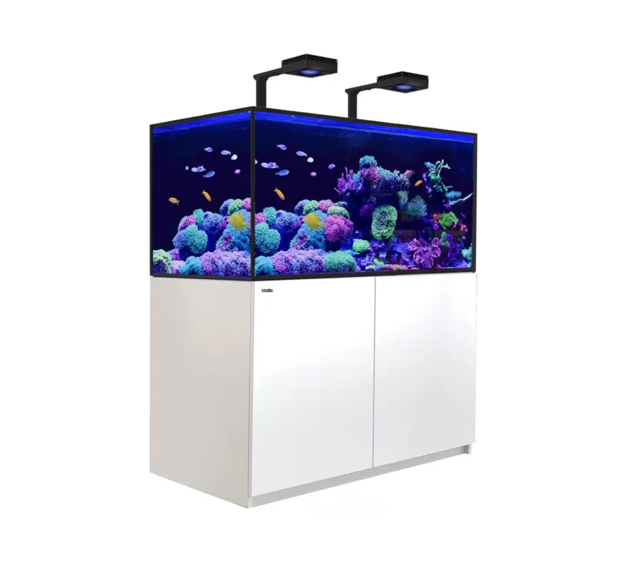 Commander Maintenant Red Sea – Aquarium Reefer S-550 G2+ DLX 2xRL170