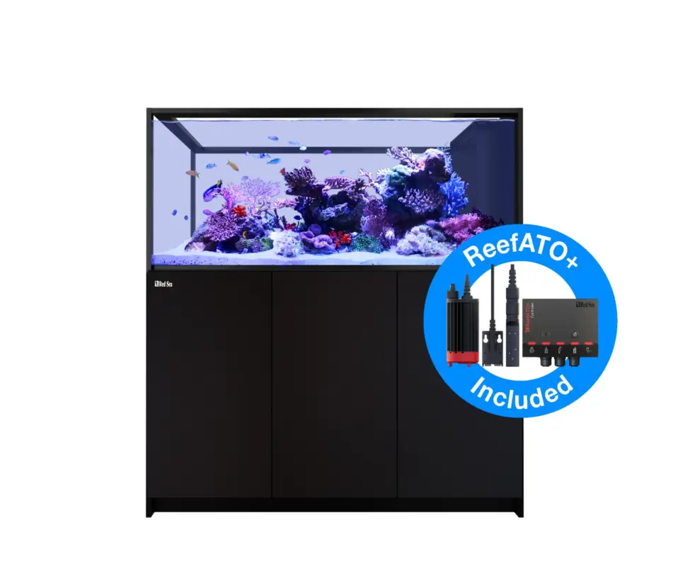 Authentique Red Sea – Aquarium Reefer PENINSULA S 700 G2+ DLX