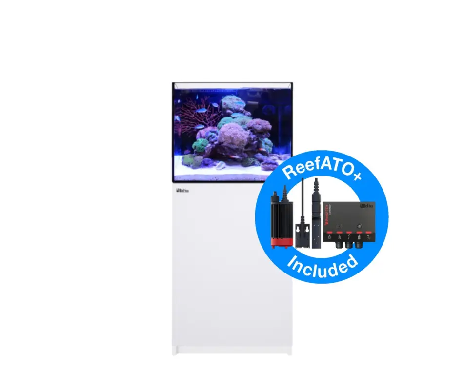 Remise Red Sea – Aquarium Reefer MAX 170 G2+