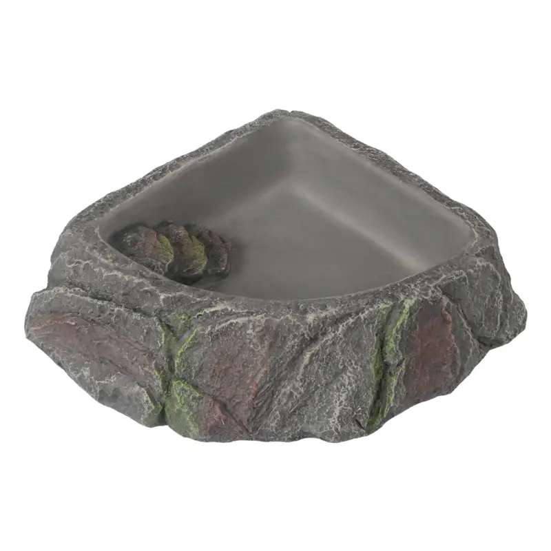 Retour Gratuit Terra Della – Abreuvoir Bol Coin Rock