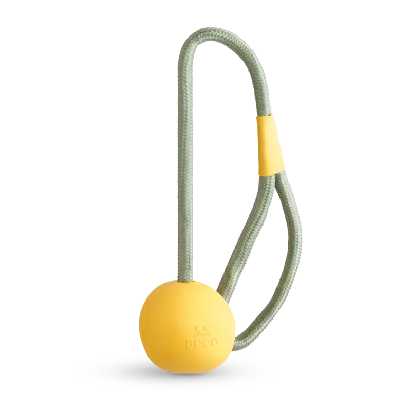 Affaire À Saisir Beco – Jouet Corde + Balle en Caoutchouc Slinger Ball pour Chiens – Jaune
