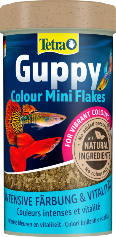 Tetra – Aliment Guppy Colour pour Guppys – 250ml Usine Directe