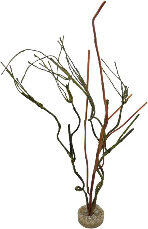 Bon Marché Labeo – D&eacute;coration Bois Branches pour Terrarium
