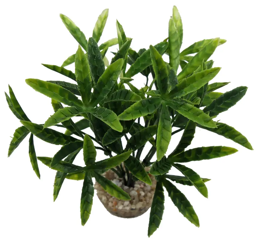 Labeo – D&eacute;coration Mini Buis Chene Saule T4 – Vert Commande En Gros