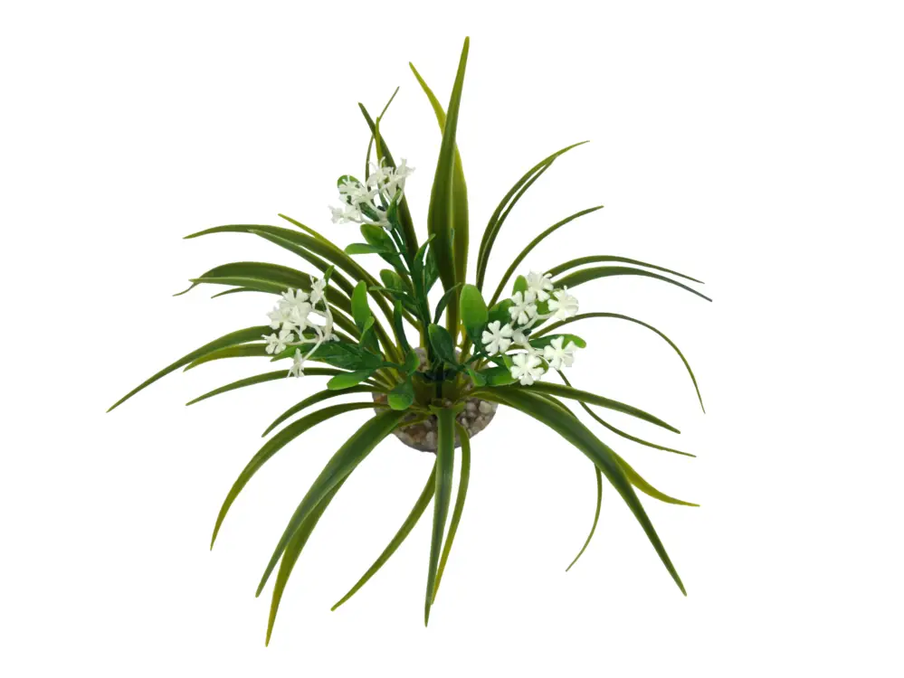 Meilleur Choix Labeo – D&eacute;coration Corolle Fleurie pour Terrarium