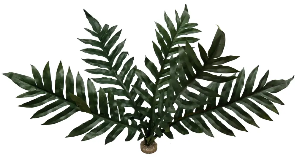 Labeo – D&eacute;coration Foug&egrave;re Terra pour Terrarium Bon Plan