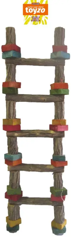 Toyzo – Jouets Perroquet Echelle 5 Echelons Bois – 54cm Nouvelle Collection
