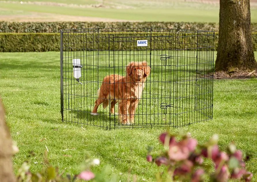 Savic – « Dog Park » Parc &agrave; Chiots et Chiens Dernier Modèle
