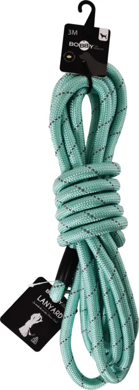 Seulement Aujourd&rsquo;hui Bobby – Longe Walk en Nylon Bleu Lagon pour Chiens
