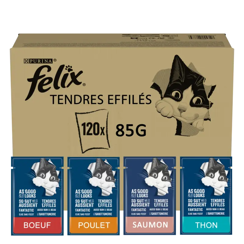 Vente Flash Felix – Tendres Effil&eacute;s en Gel&eacute;e S&eacute;lection Mixte B&oelig;uf Poulet Thon Saumon – 120x85g