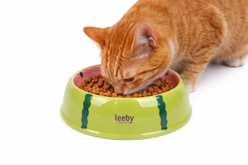 Leeby – Gamelle Design Past&egrave;que en C&eacute;ramique pour Chats – 150ml Achetez Aujourd&rsquo;hui