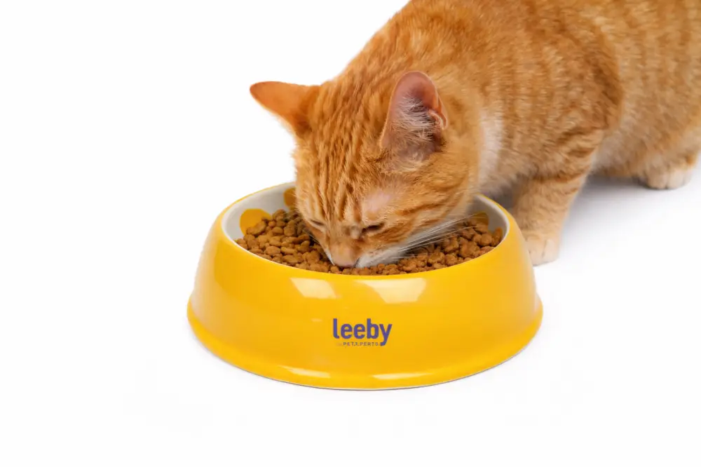 Retour Gratuit Leeby – Gamelle Design Citron en C&eacute;ramique pour Chats – 150ml